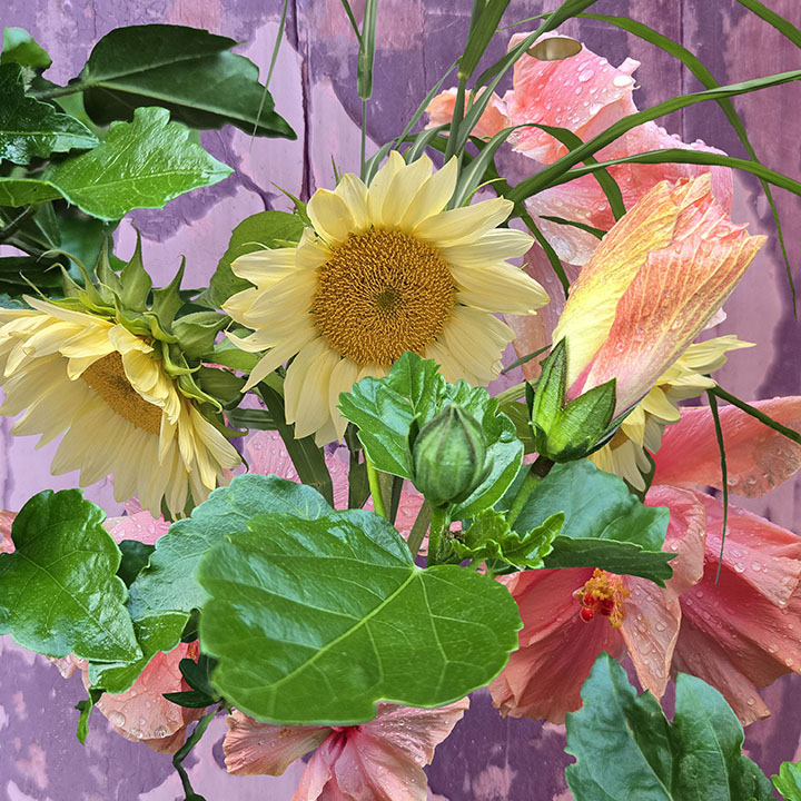 summer bouquet MassMOCA  final 10x10 72 summer bouquet MassMOCA  final 10x10 72